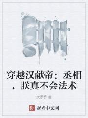 穿越漢獻帝：丞相，朕真不會法術