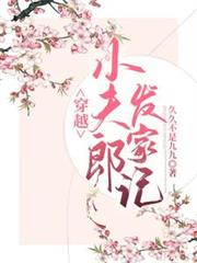 穿越小夫郎發家記