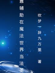 我靠輔助在魔法世界當法聖