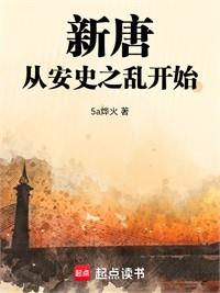 新唐，從安史之亂開始