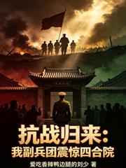 抗戰歸來：我副兵團震驚四合院