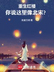 重生紅樓，你說這裡像北宋？