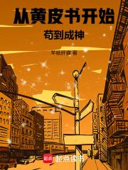 從黃皮書開始苟到成神