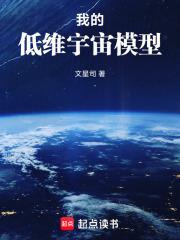 我的低維宇宙模型