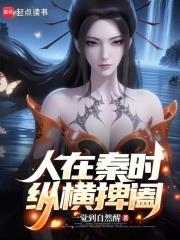 人在秦時，縱橫捭闔