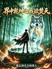 界中乾坤之我欲焚天