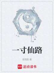 一寸仙路