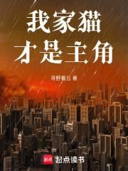 我家貓才是主角