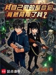 我自己做的整合包竟然背叛了我？