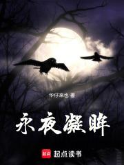 永夜凝眸