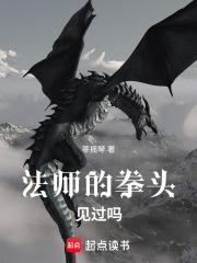 法師的拳頭見過嗎