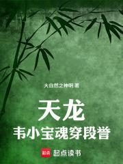 天龍：韋小寶魂穿段譽