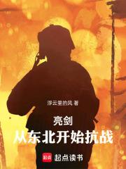 亮劍：從東北開始抗戰