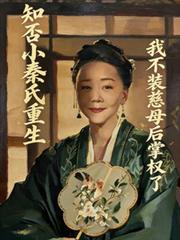 小秦氏重生我不裝慈母后掌權了