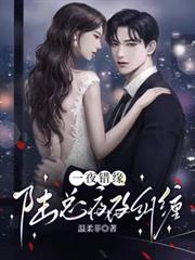 一夜錯緣，陸總夜夜糾纏