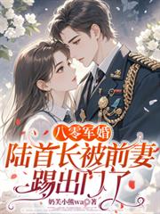 八零軍婚：陸首長被前妻踢出門了