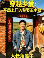 穿越鄉愛：開局上門入贅娶王小蒙