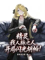 精靈：我人脈之人，開局閃光胡帕