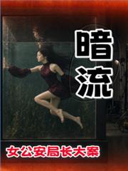 女公安局長大案系列之暗流