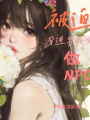 被迫穿進男頻文做NPC
