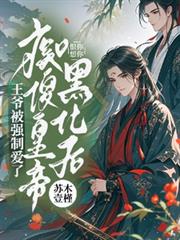 痴傻皇帝黑化後，王爺被強制愛了