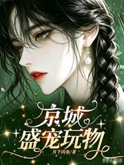 京城盛寵玩物