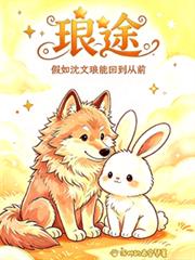 琅途：假如沈文琅能回到從前