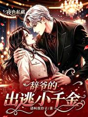 夜色私藏：辭爺的出逃小千金