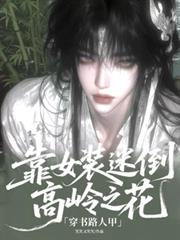 穿書路人甲靠女裝迷倒高嶺之花