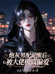 炮灰男配覺醒後，被大佬極致偏愛