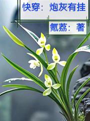快穿：炮灰有掛