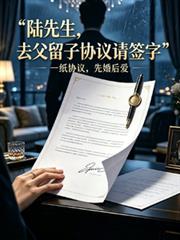 陸先生，去父留子協議請簽字