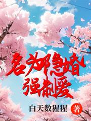 名為隱婚的強制愛