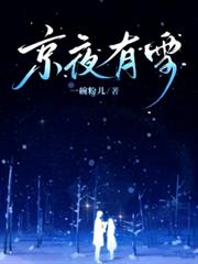 京夜有雪