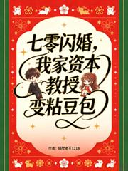七零閃婚，我家資本教授變粘豆包