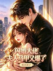 閃婚大佬，夫人馬甲又爆了