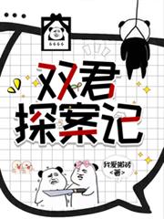 雙君探案記