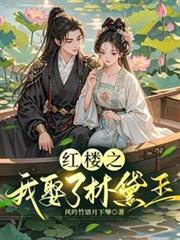 紅樓之我娶了林黛玉