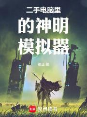 二手電腦里的神明模擬器