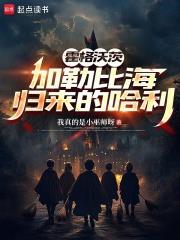 霍格沃茨：加勒比海歸來的哈利