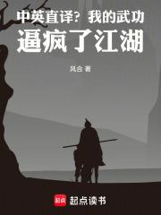 中英直譯？我的武功逼瘋了江湖
