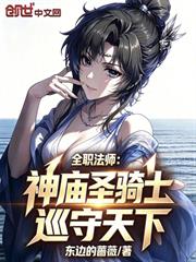 全職法師：神廟聖騎士，巡守天下
