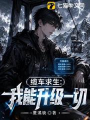 纜車求生：我能升級一切