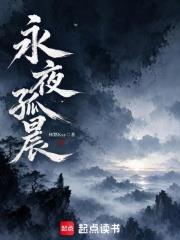 永夜孤晨