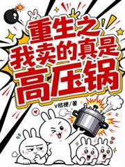 重生之我賣的真是高壓鍋