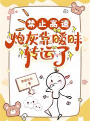 禁止高速：炮灰靠曖昧轉運了