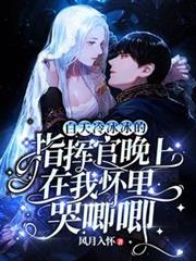 白天冷冰冰的指揮官晚上在我懷裡哭唧唧