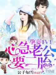 孕妻一加一
