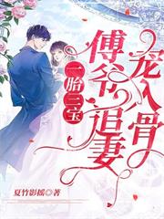 一胎三寶：傅爺，追妻寵入骨