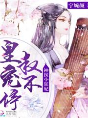 神醫王妃又又又翻牆了